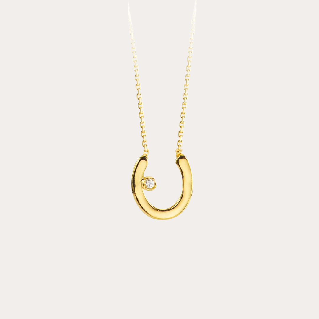 Horseshoe Necklace